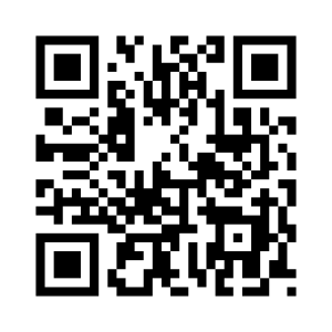 Wikipedia - matrix barcode